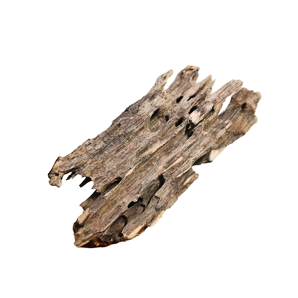 Korzeń Dragon Wood Smoczy Korzeń M 18-30cm Dekoracja Akwarium Hardscape